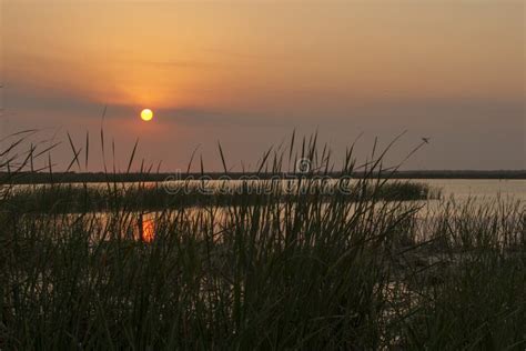 Serene Sunset At The Marsh Stock Photo Image Of Peace 75114948