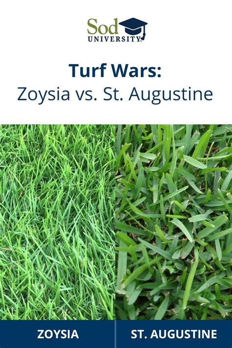 Sod University Looks At The Generic Differences Between Zoysia And St