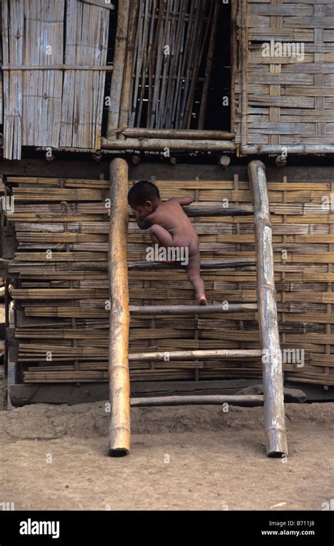 Un Jeune Gar On Hmong Grimpe Dans L Chelle De Bambou Pour Son Herbe Bambou Et Bois Dans La