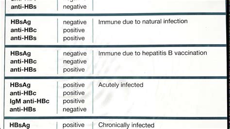 Hepatitis B Serology YouTube