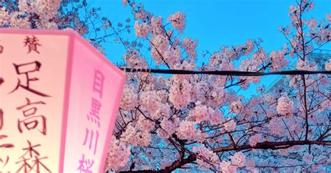 Aesthetic Background Japanese Cherry Blossom Wallpaper Mural Wallpaper