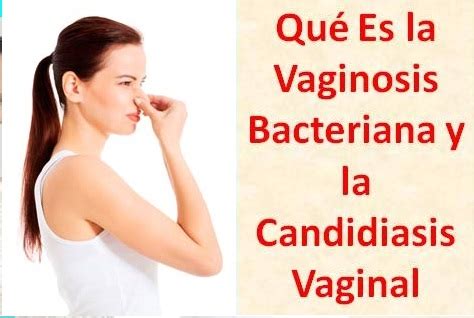 Qu Es La Vaginosis Bacteriana