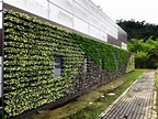 威明谷GreenWall【創新的模組化綠牆】立體植栽牆(植生牆.花牆.綠圍籬)