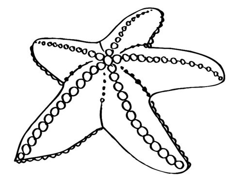 Desenhos De Estrela Do Mar Para Colorir Imprimir E Pintar Fc Noticias