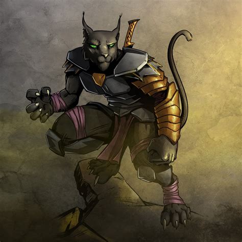 Tabaxi For Dandd 5e Rcharacterdrawing