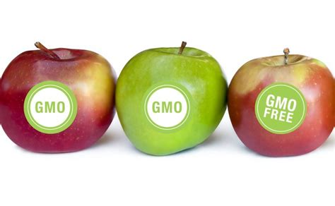 What Is Going On With Gmos Whyhunger