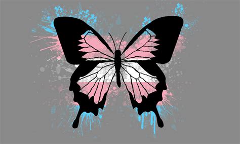 Transgender Butterfly Pride Wallpaper By Amybluee42 On Deviantart