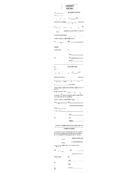 2022 Paternity Affidavit Form Fillable Printable Pdf And Forms Handypdf