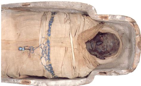 Ancient Mummies Of Egypt