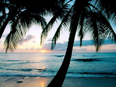 Wallpaper Ocean Sunset Palm Trees 1920x1080 Full Hd 2k Picture Image