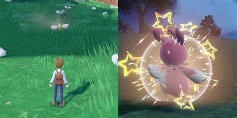 How To Find Shiny Pokemon In Pokemon Scarlet And Violet