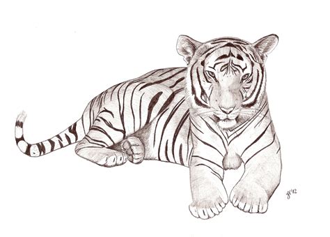 Imagenes De Tigres Para Dibujar Find Gallery The Best Porn Website