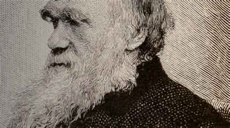 Dia De Darwin 12 De Fevereiro Uma Data Para Celebrar A Ciência