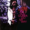 Píldoras de música: Are You Gonna Go My Way, Lenny Kravitz, 1993