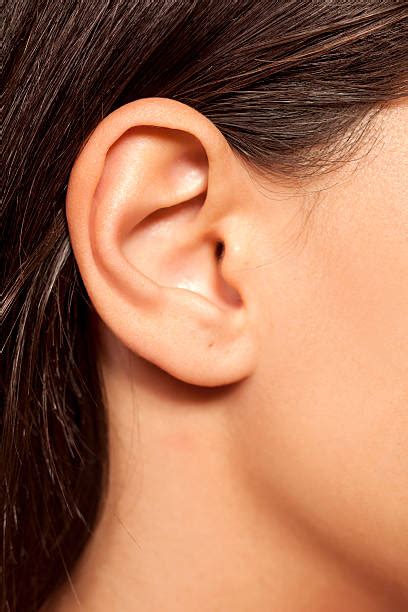 Ear Close Up Stock Photos Pictures And Royalty Free Images Istock