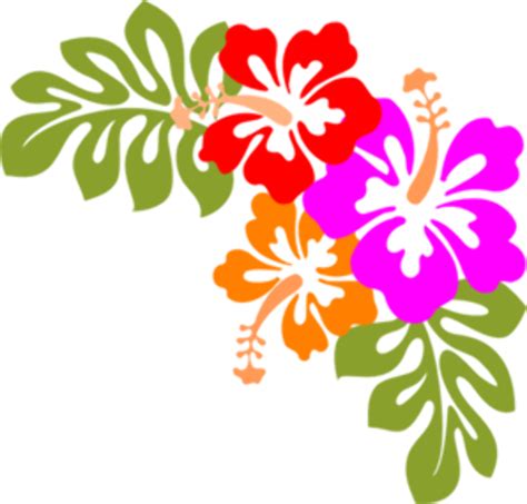 Download High Quality Hibiscus Clipart Frame Transparent Png Images