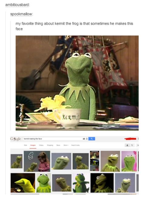 The Kermit Face Kermit The Frog Know Your Meme