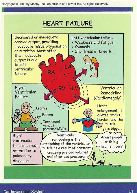 Pathophysiology Of Heart Failure Heart Failure Pathogenesis Docsity