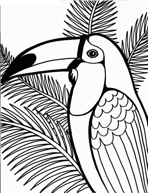 Toucan Bird 3 Coloring Page Free Printable Coloring Pages For Kids
