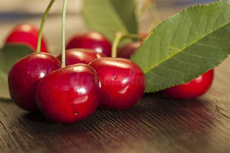 Red Ripe Cherries Stock Photo Image Of Juicy Beautiful 125057574