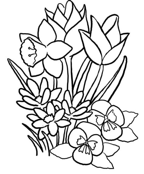 Flori liliac imagini de fundal aplicații pe google play. Desene cu Flori de Primavara de colorat, imagini și planșe ...