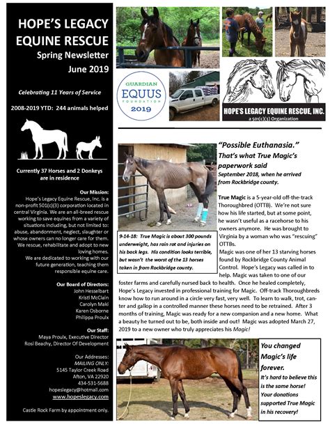 News — Hopes Legacy Equine Rescue