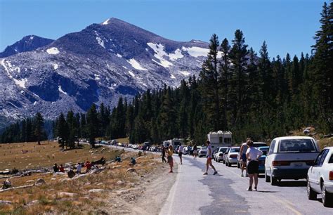 Yosemite Vehicle Fees Could Go Up To 70 Under Proposed National Parks Plan