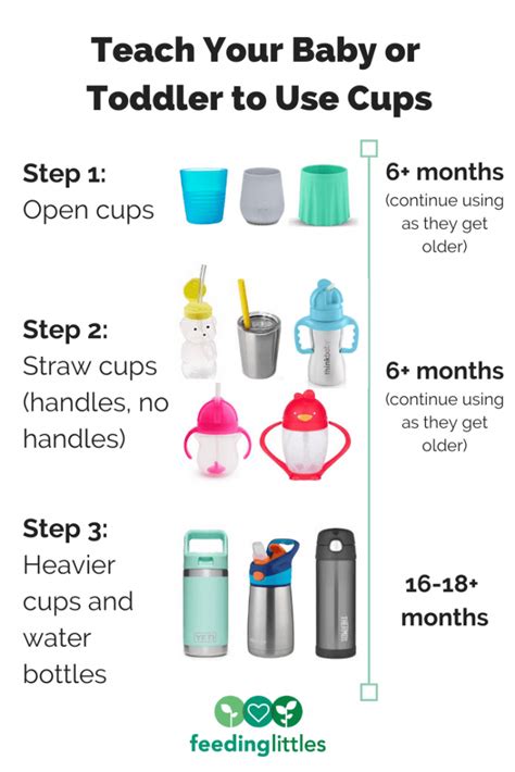 The Ultimate Guide To Cup Drinking Feeding Littles