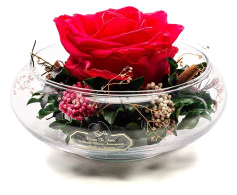 Rosen Te Amo 1 Haltbare Premium Rose In Hochwertige Vase Mit Echten