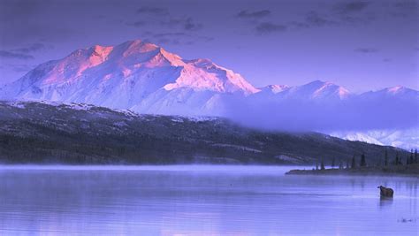 Nature Landscape Mountains Snow Lake Sunset Mist Cold Moose Alaska