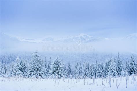 Wonderful Winter Landscape Stock Image Image Of Mountain 68485827