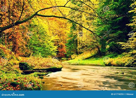 Autumn Mountain River Blurred Waves Fresh Green Mossy Stones And