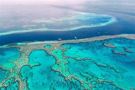 Your Guide To Diving The Great Barrier Reef