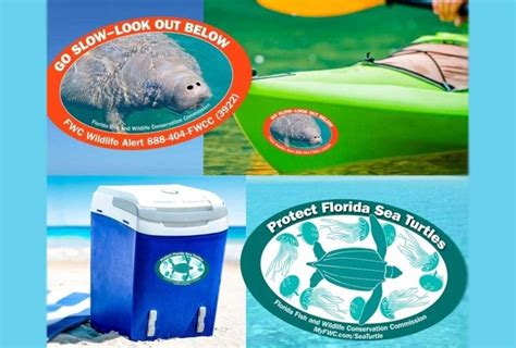 Just Released Fwcs 2021 2022 Manatee And Sea Turtle Decals