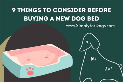 9 Things To Consider Before Buying A New Dog Bed Know Before Buy