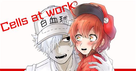 White Blood Cell Red Blood Cell Cells At Work 白赤ちゃん Pixiv