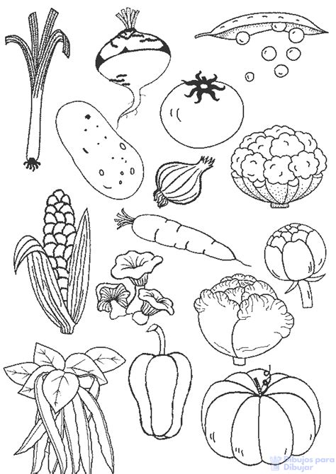 ᐈ Dibujos De Verduras【top Free】exquisita Plantilla