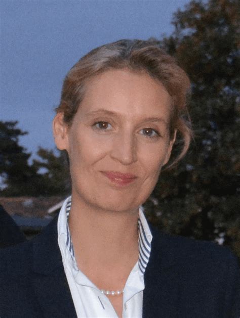 Opinions and recommended stories about alice weidel as a teenager she worked as a social worker, while at the university of hamburg and, later, in 2009, joined the german central council. Alice Weidel - die deutsche Barbara Streisand › Kamikaze ...