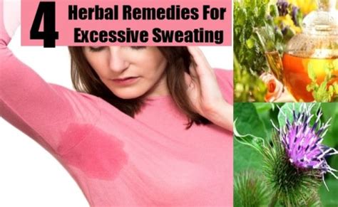 7 Important Herbal Remedies For Excessive Sweating How To Get Rid Of