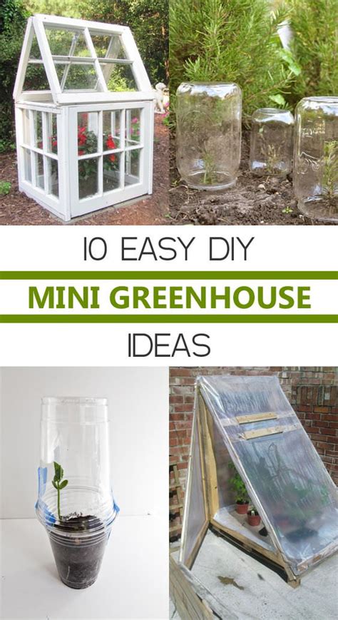 The purpose of greenhouse is protect your seedlings and growing plants from cold and critters. 10 Easy DIY Mini Greenhouse Ideas - Gardening Viral