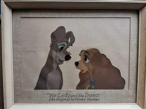 Rare 1955 Vintage Walt Disney Animation Cel Lady And The Tramp Bella