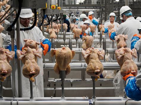 Liquid Nitrogen Leak At Us Georgia Poultry Plant Kills 6 Workers