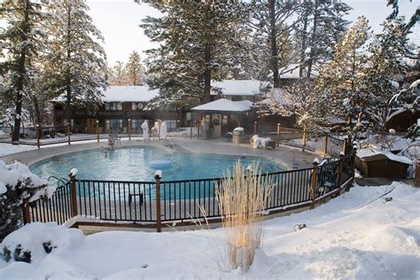 An Outdoor Swimming Pool Surrounded By Snow Covered Trees And Fenced In