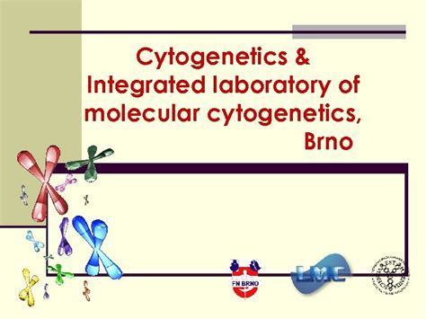 Cytogenetics Integrated Laboratory Of Molecular Cytogenetics Brno