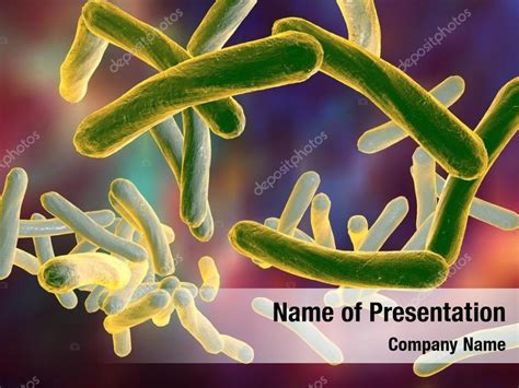 Mycobacterium Tuberculosis Powerpoint Template Mycobacterium
