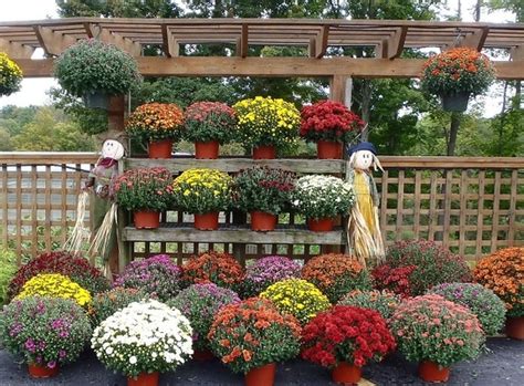 Olney's flowers north james street rome ny. Olney's Flowers of Rome, NY :: Rome, New York Flower Shop
