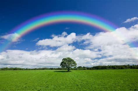 Rainbow Over Green Field Stock Image Image Of Blue Field 23640495