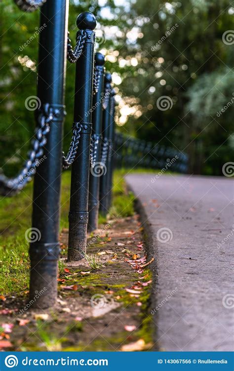 Colorful Photo Of The Road In A Park Between Woods Closeup View Of
