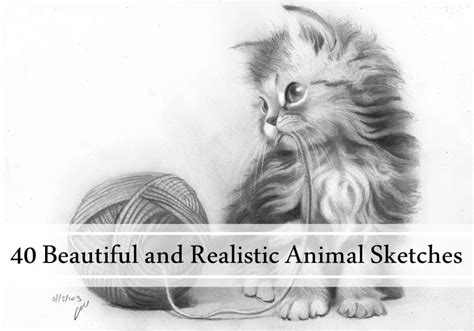 40 Beautiful And Realistic Animal Sketches Tail And Fur