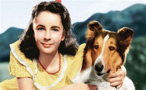 20 Fun Facts You Never Knew About Lassie